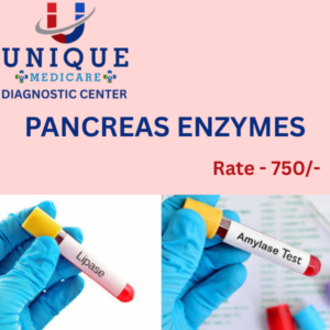 PANCREASE ENZYMES (S.LIPASE, S.AMYLASE)